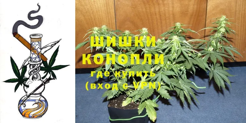 Шишки марихуана THC 21%  продажа наркотиков  Тавда 